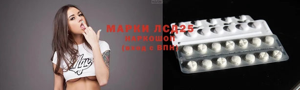гидра Балахна