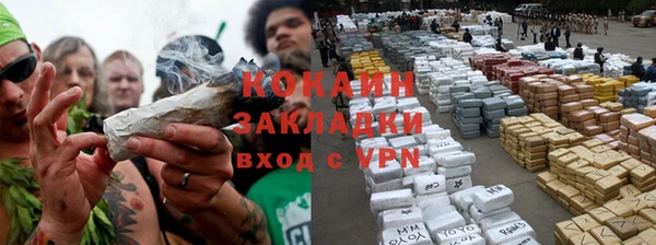 шишки Покров