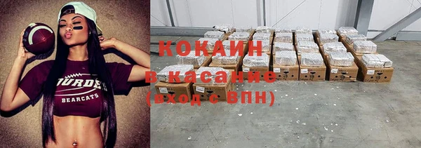 шишки Приозерск