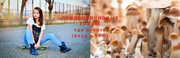 хмурый Арсеньев