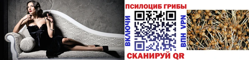 Галлюциногенные грибы Psilocybe  продажа наркотиков  Снежногорск 