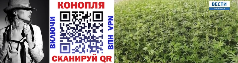 купить  цена  Снежногорск  Каннабис индика 